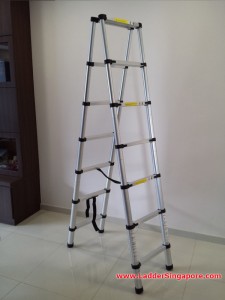 Telescopic Ladder