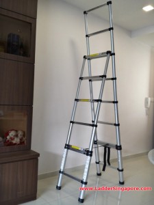 Telescopic Ladder Safety Rungs